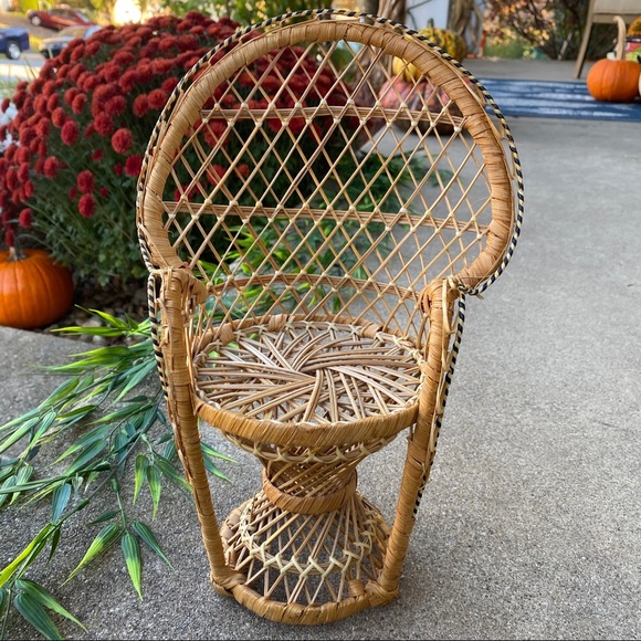 Vintage Other - Vintage Boho Peacock Plant Chair